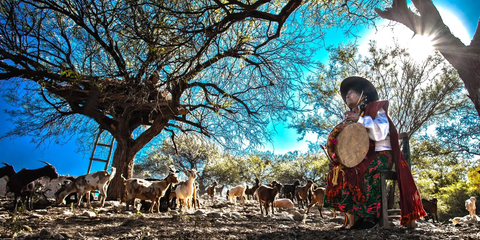Amaicha del Valle y Ciudad Sagrada de los Quilmes