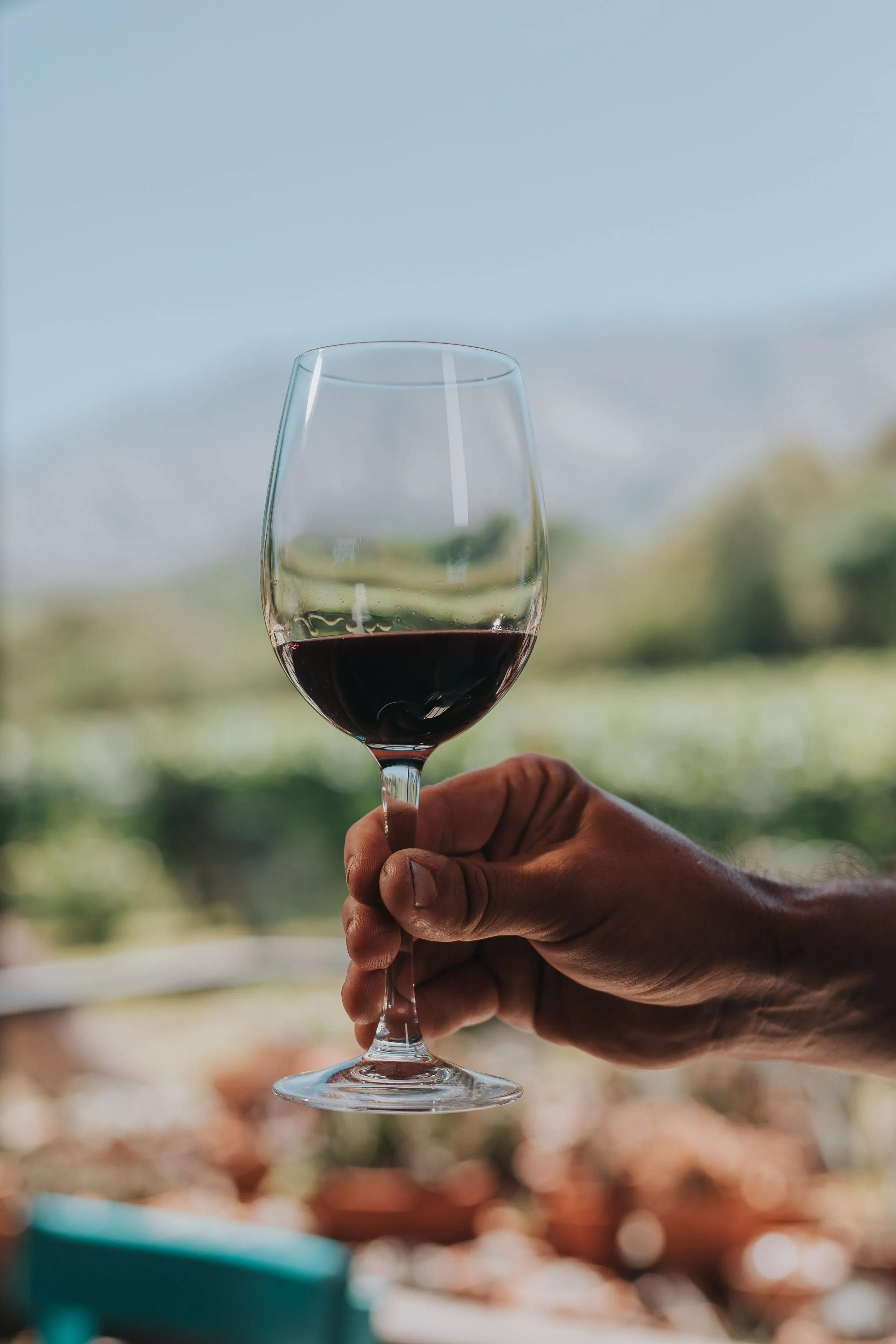 Bebidas y Gastronomía en Córdoba