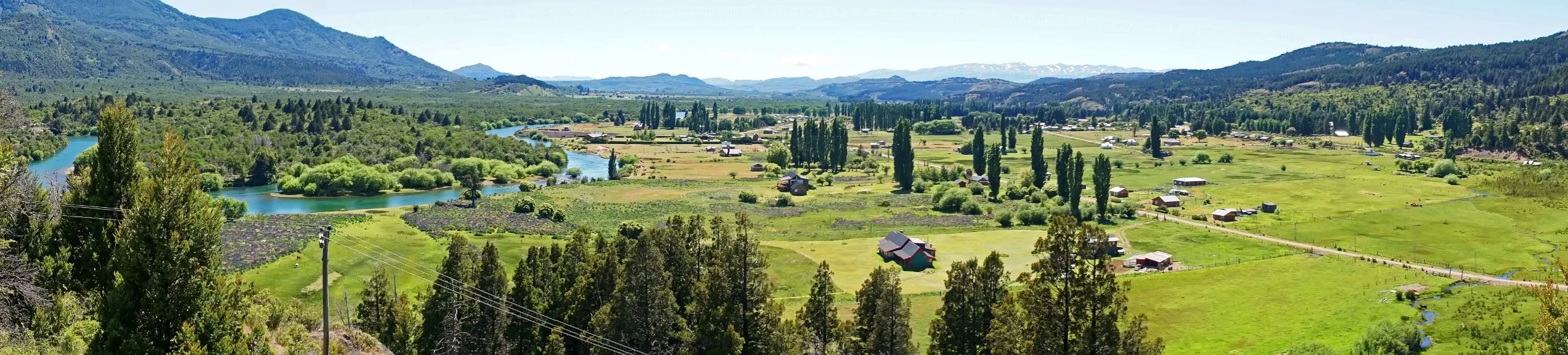 Cholila