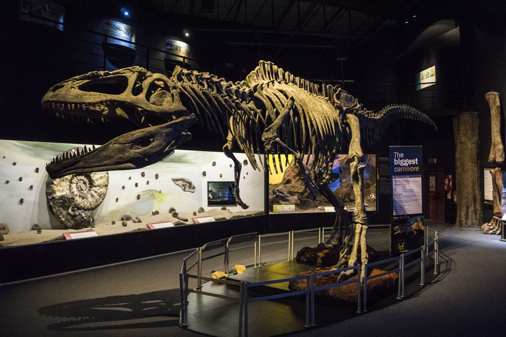 Dinosaurios de la Патагония