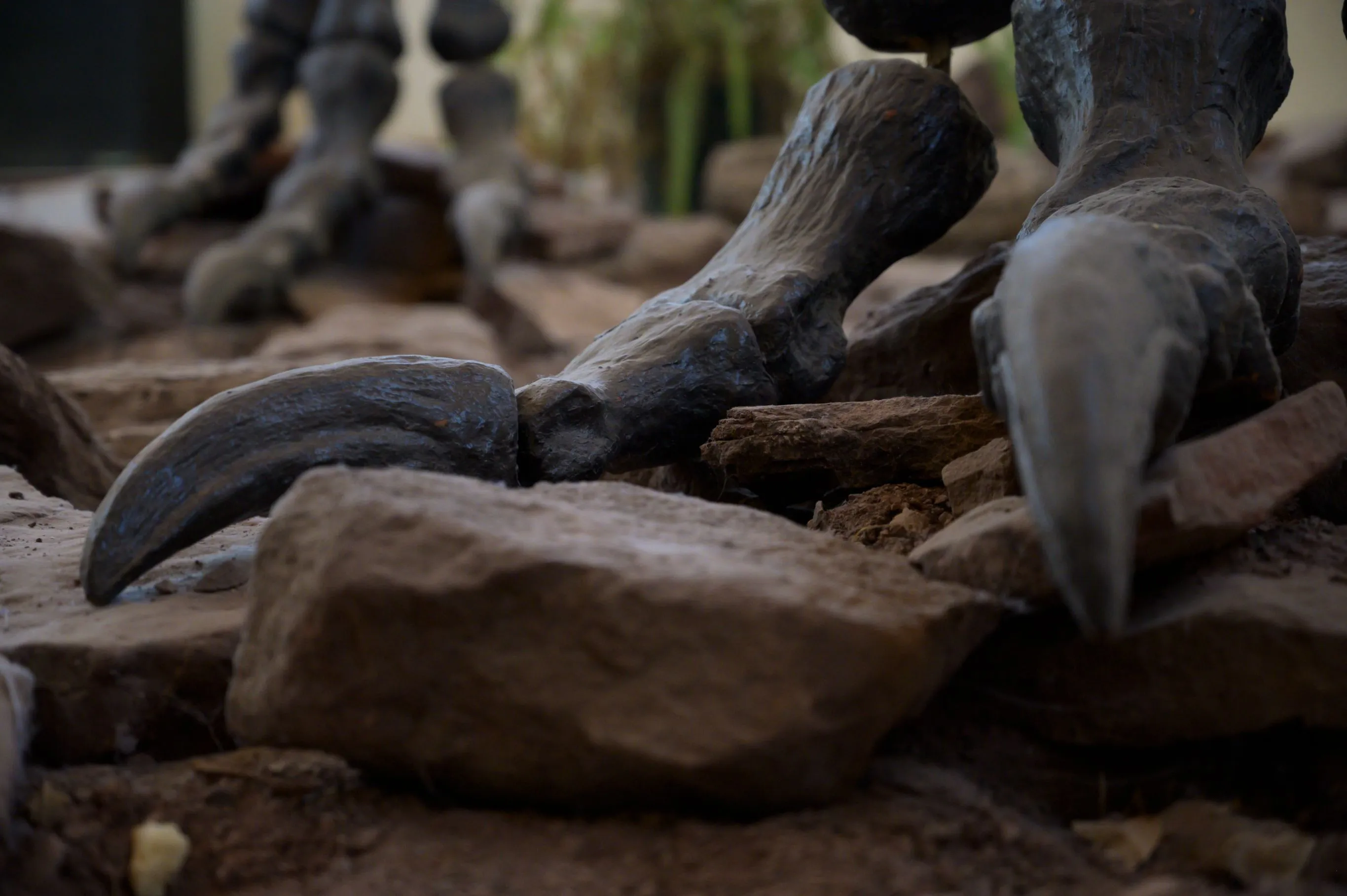 Dinosaurios en Neuquén
