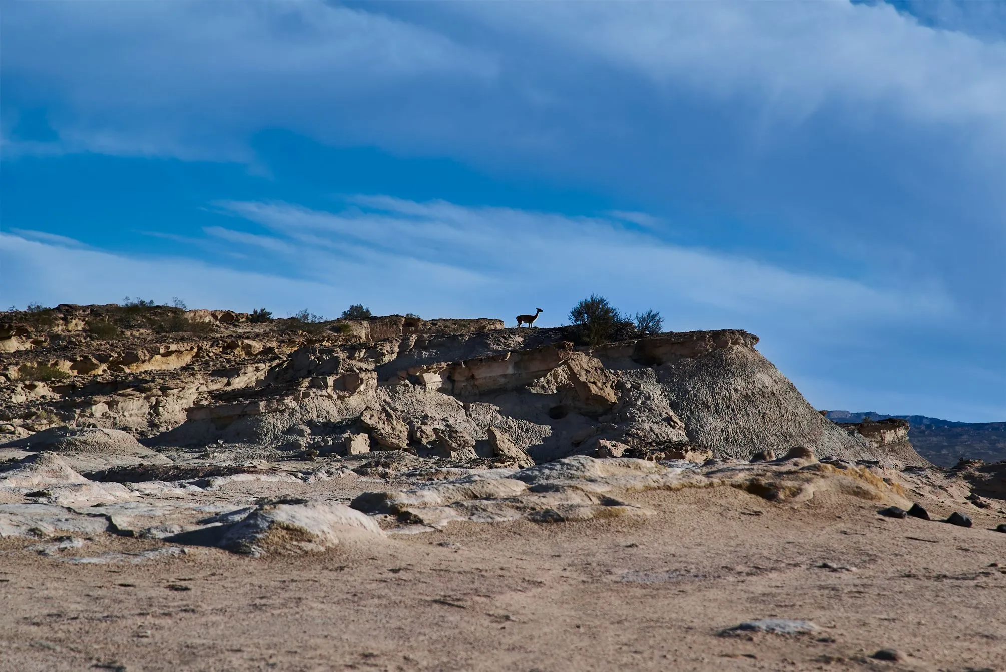 Parque Natural Valle Fértil