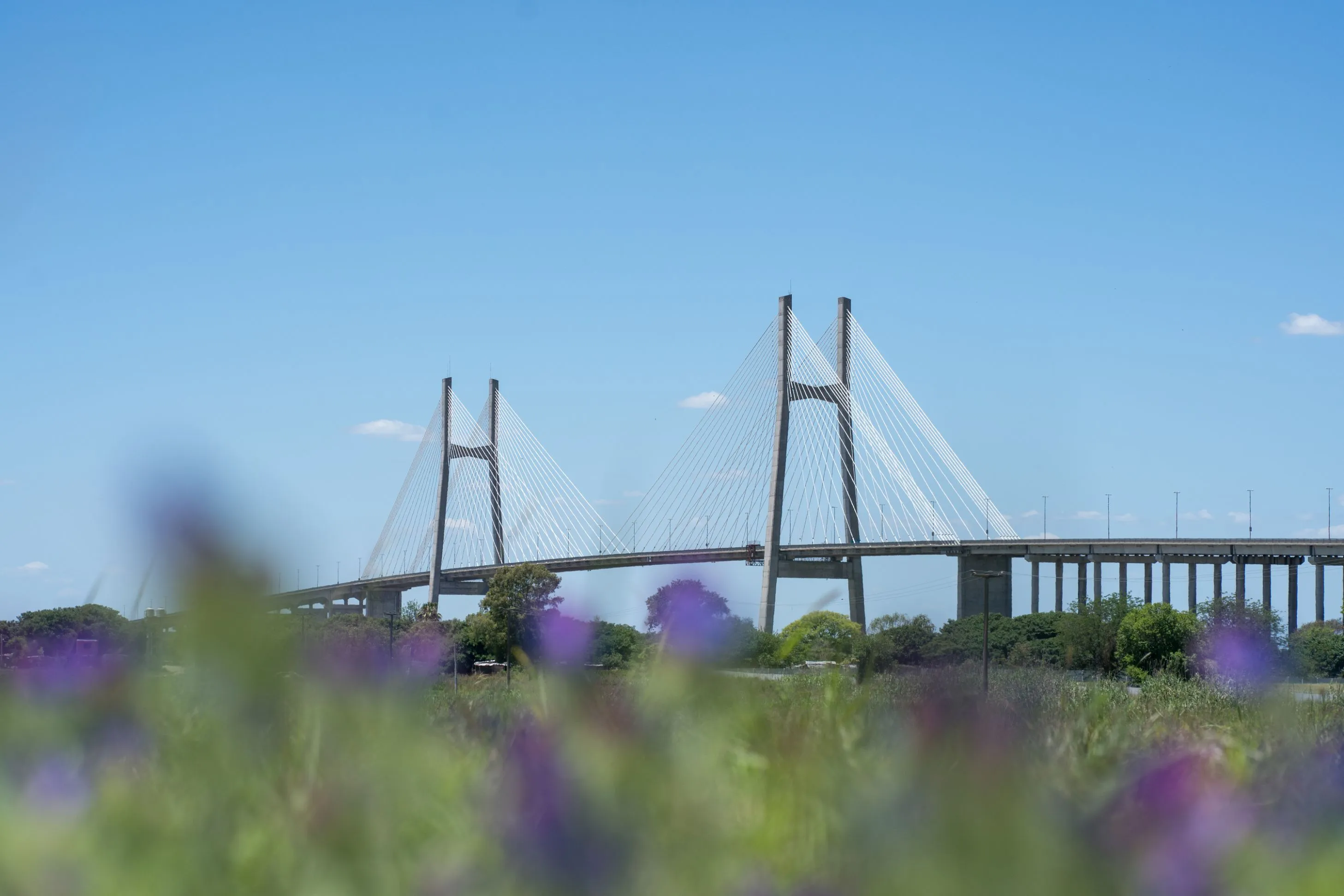 Puente Rosario-Victoria