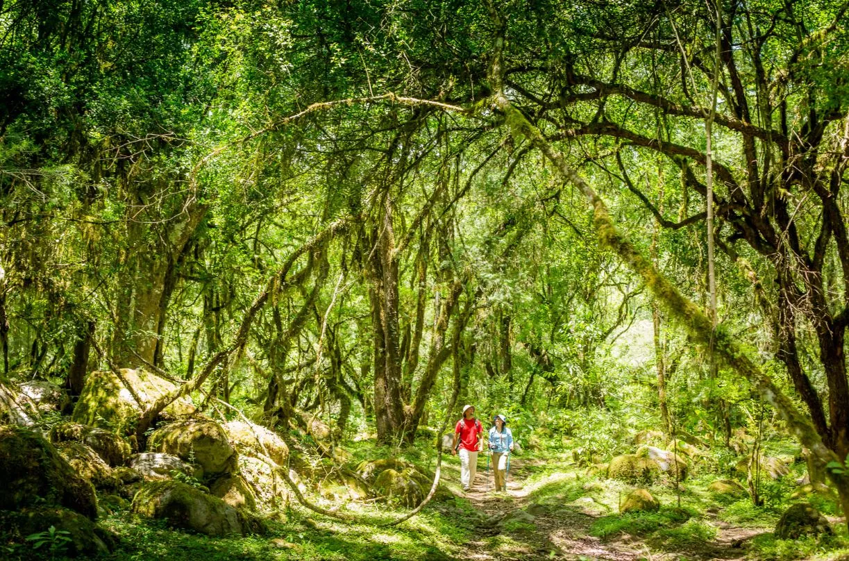 Reserva Natural El Nogalar de los Toldos