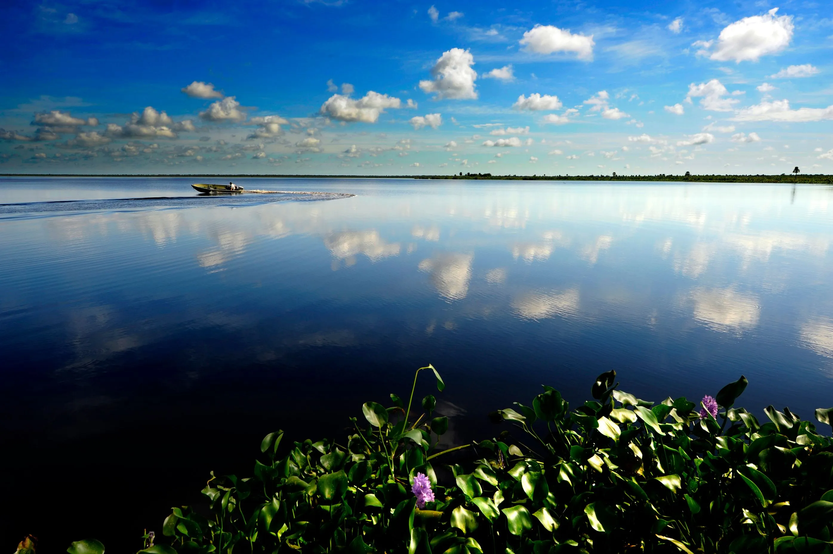 Reserva Natural Iberá