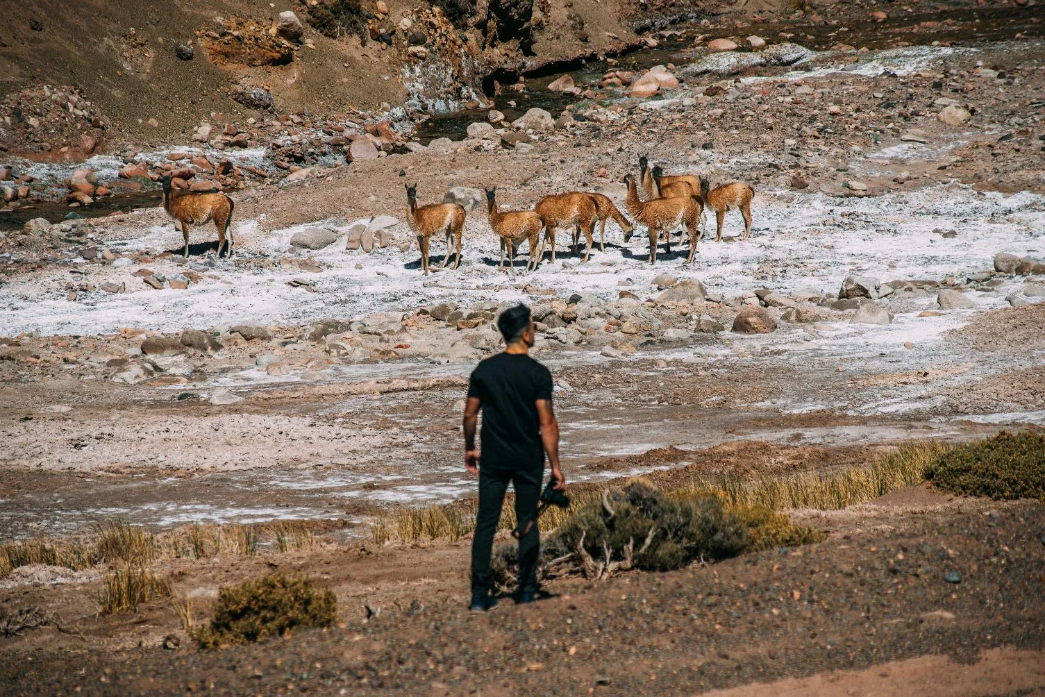 Reserva Natural Laguna Brava