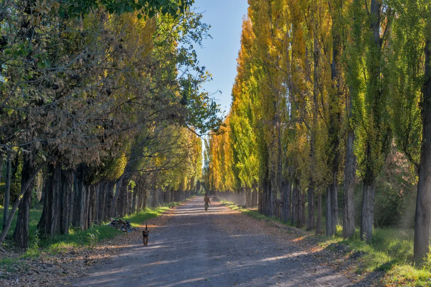 San Rafael