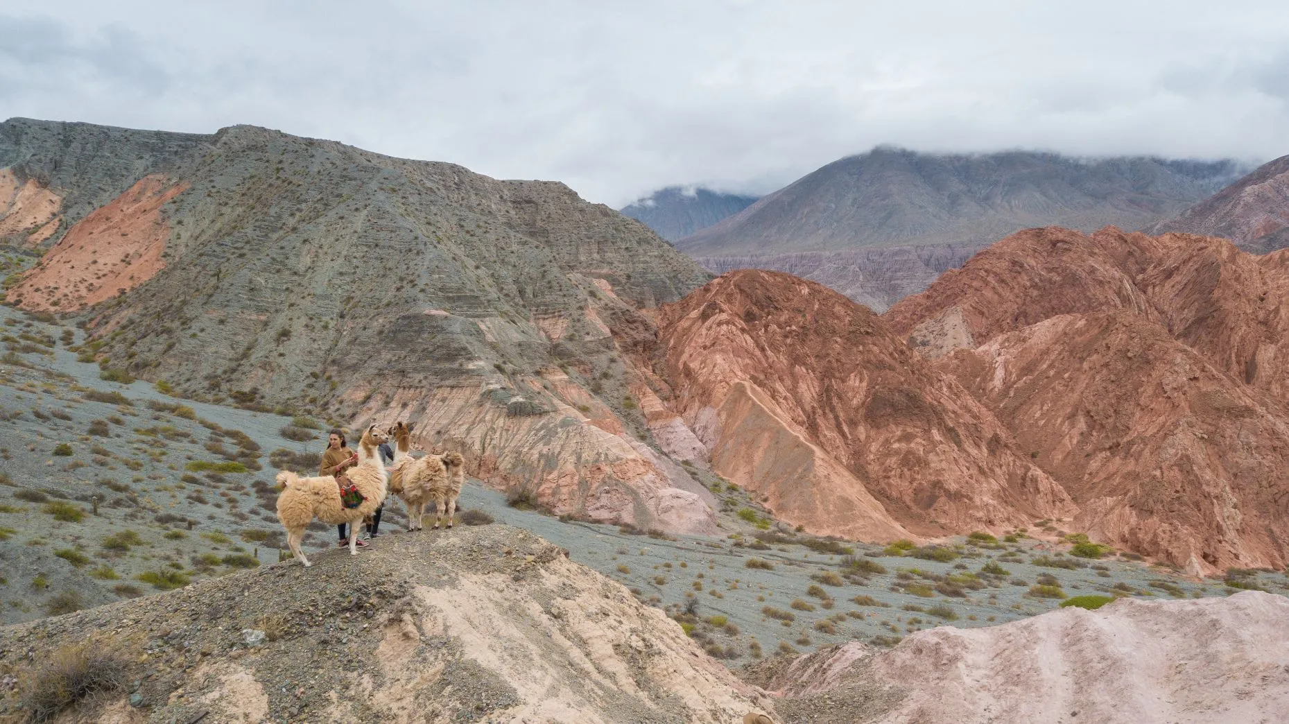 Senderismo con llamas en Jujuy