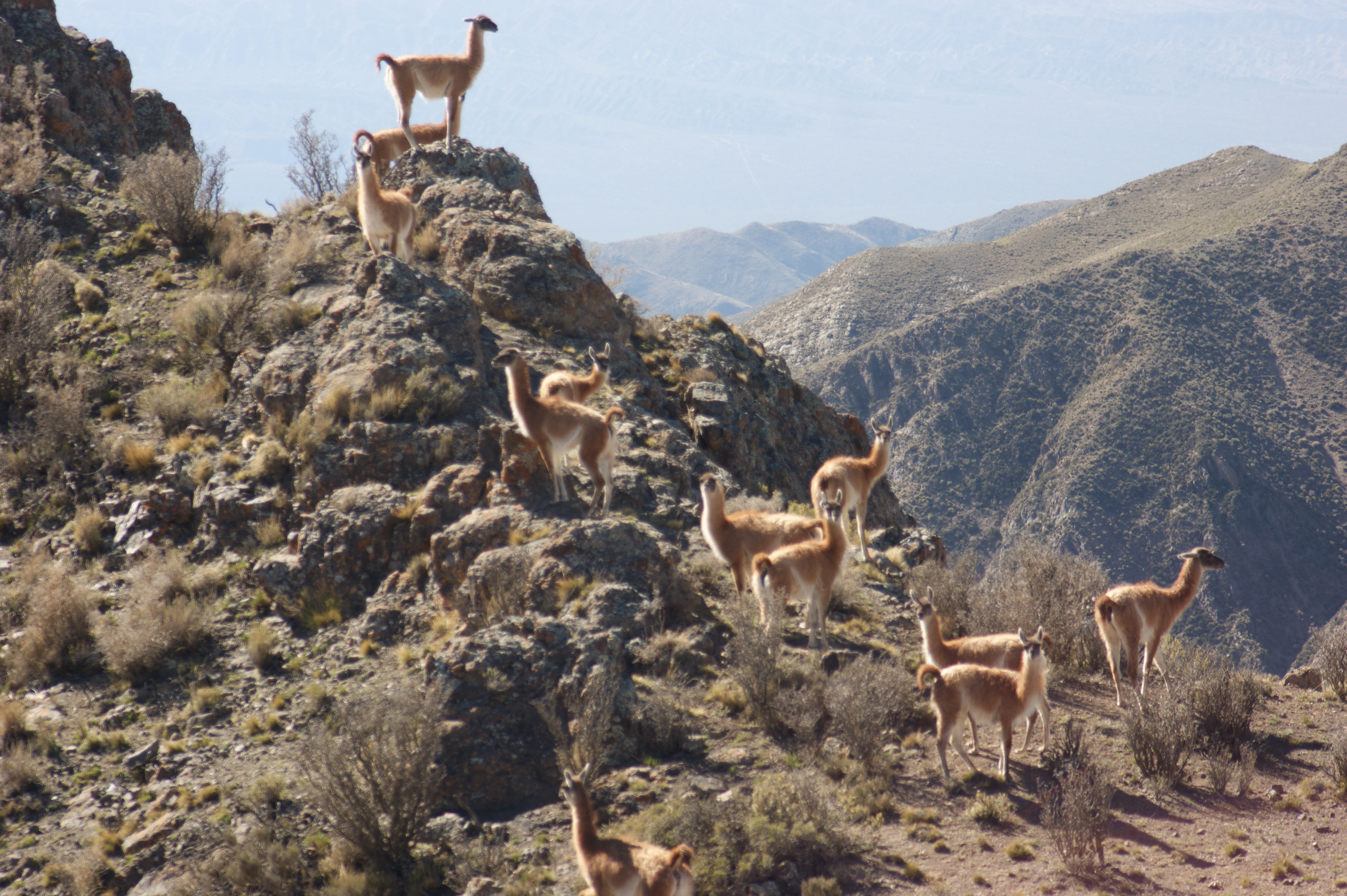 Вильявисенсио